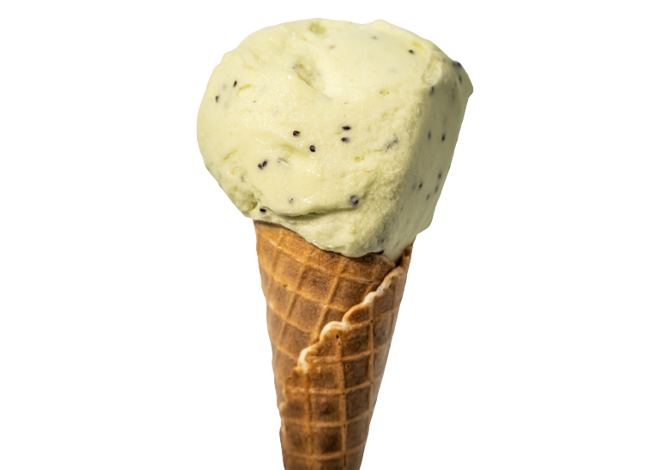 Artigelato - Kibana