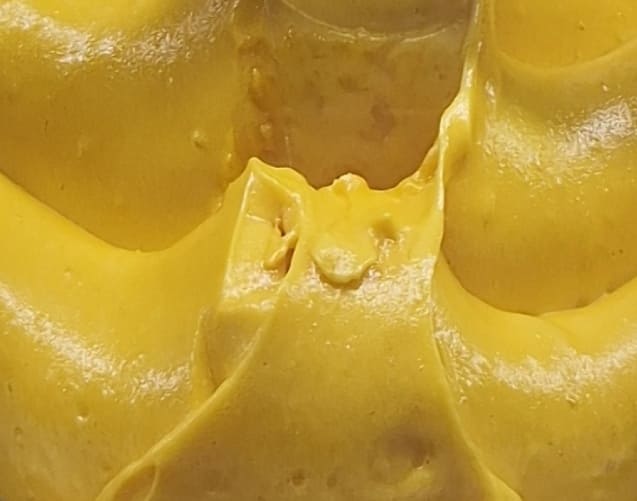 Artigelato - Mangue passion